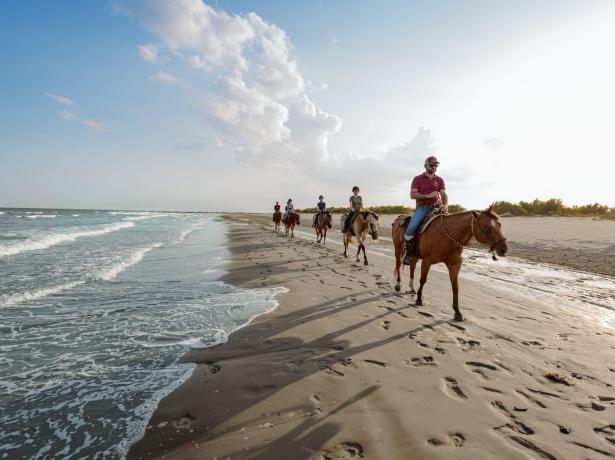 Folk rider på heste langs stranden ved solnedgang.